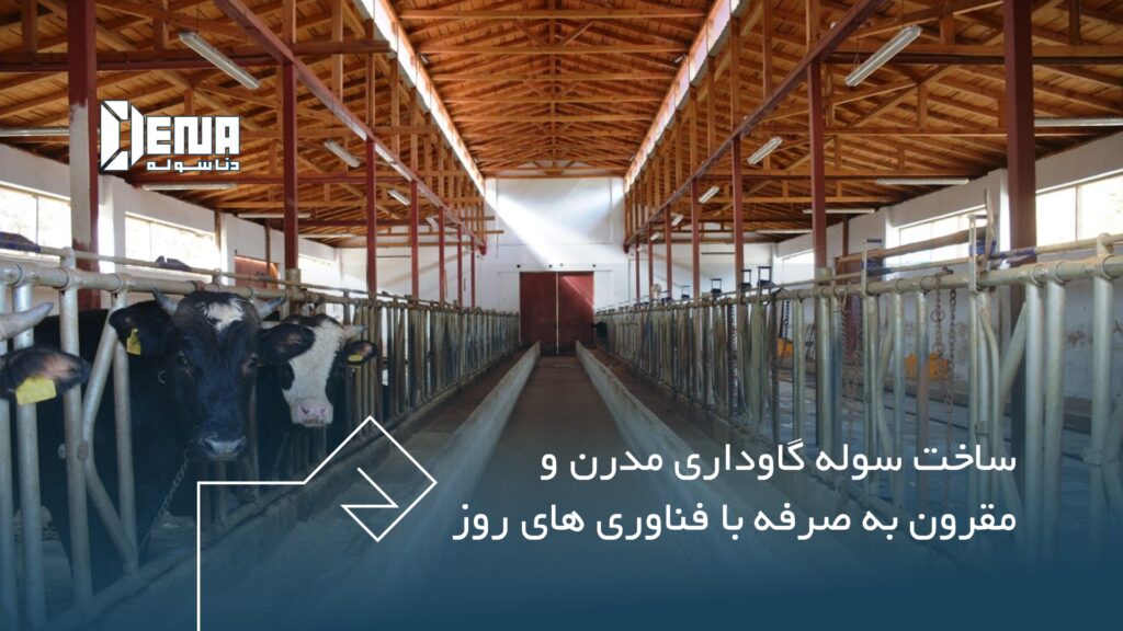 چگونه میتوان سوله گاوداری مقرون به صرفه ساخت؟