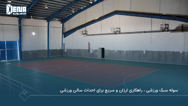 سوله سبک ورزشی چیست؟ دناسوله