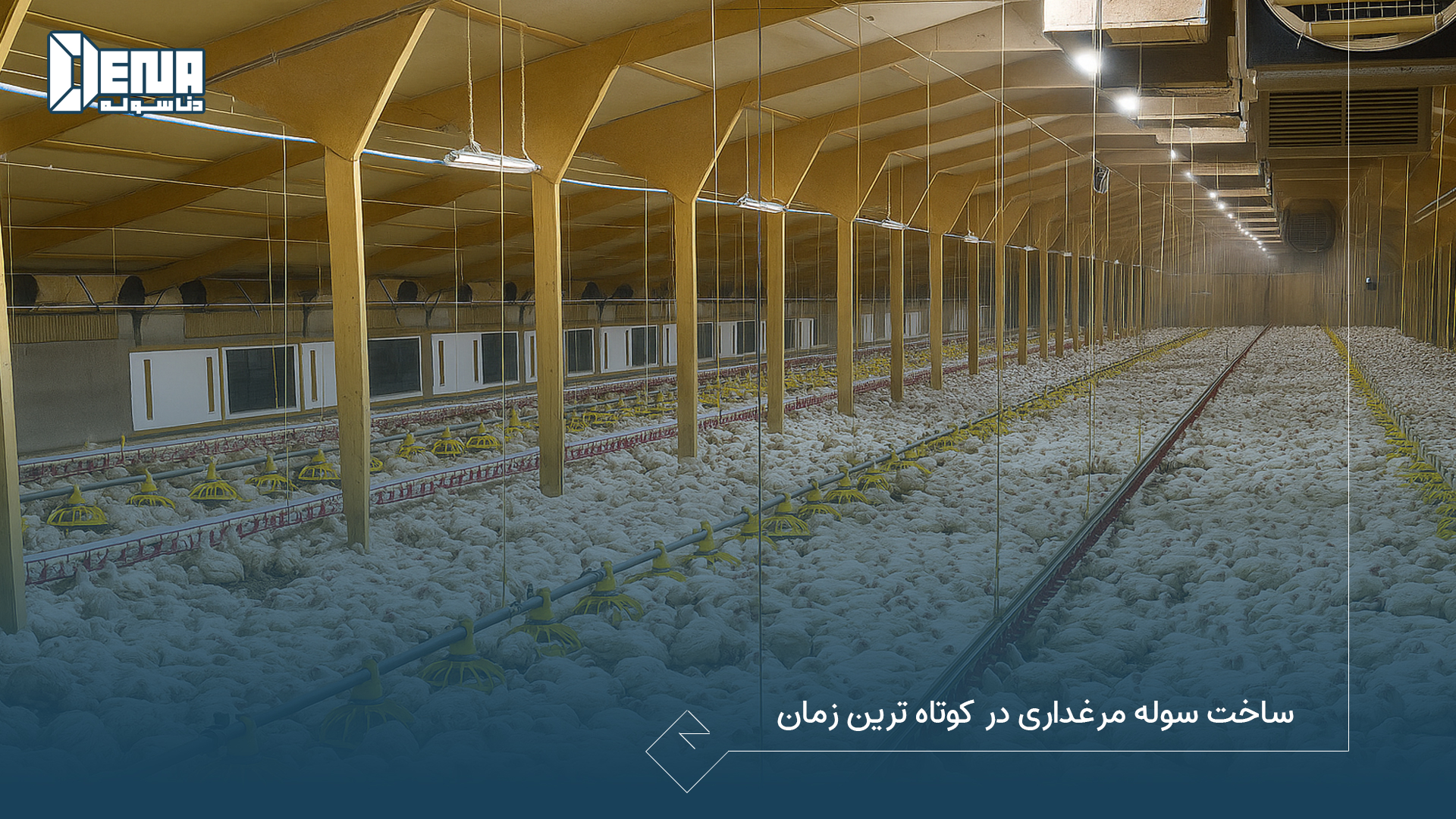 ساخت سوله مرغداری در کوتاه ترین زمان