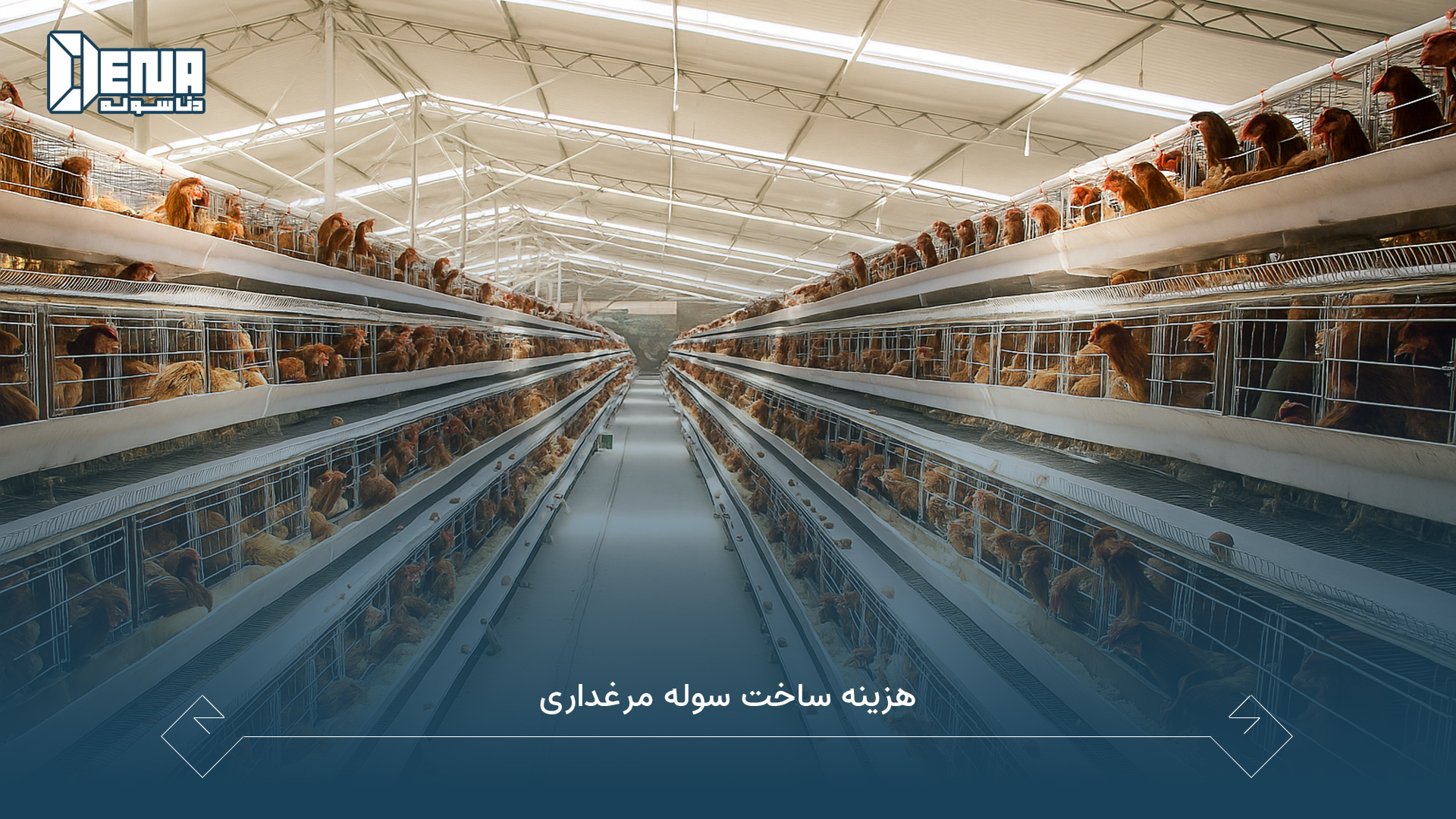 هزینه ساخت سوله مرغداری