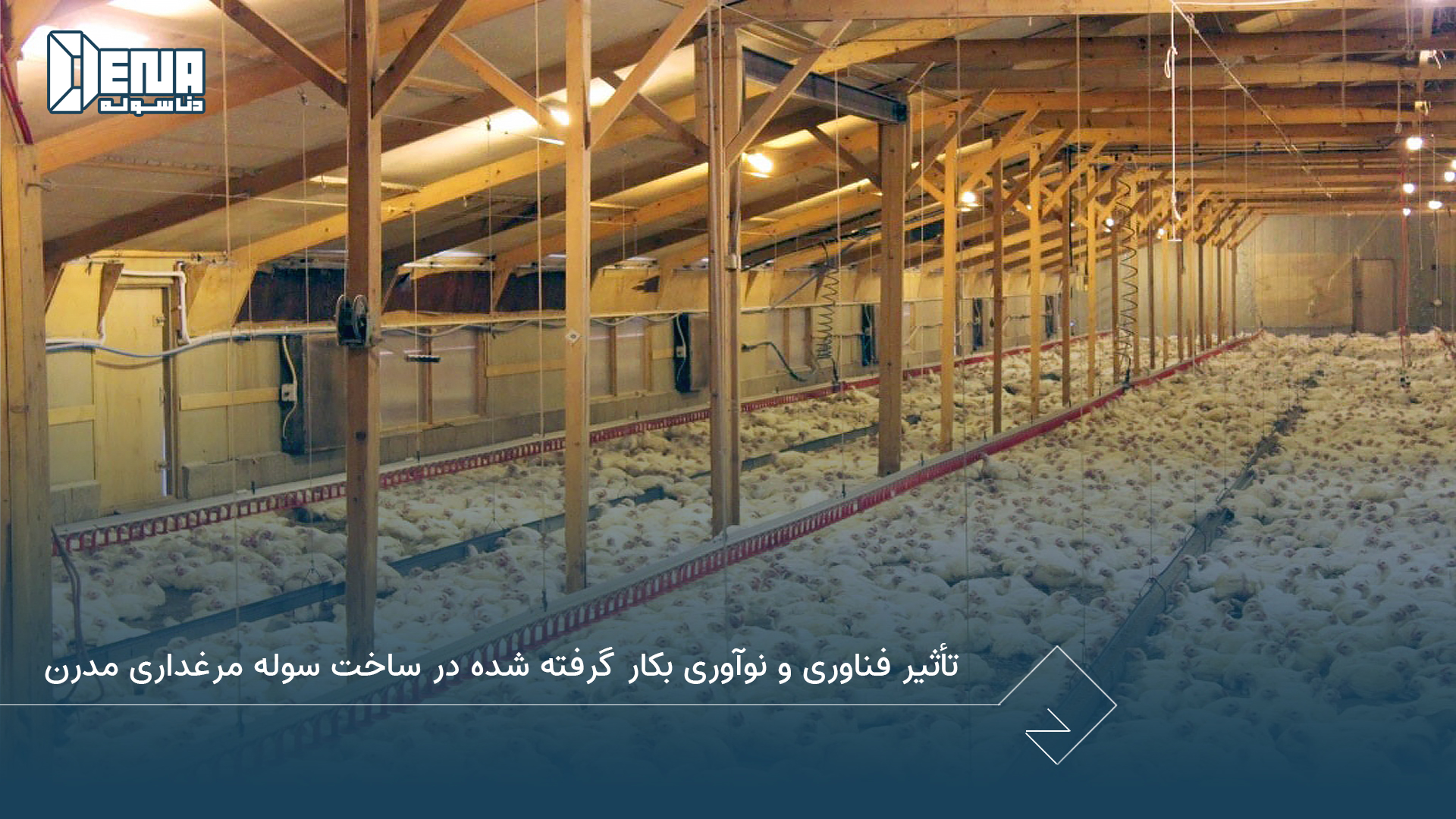 تأثیر فناوری و نوآوری بکار گرفته شده در ساخت سوله مرغداری مدرن