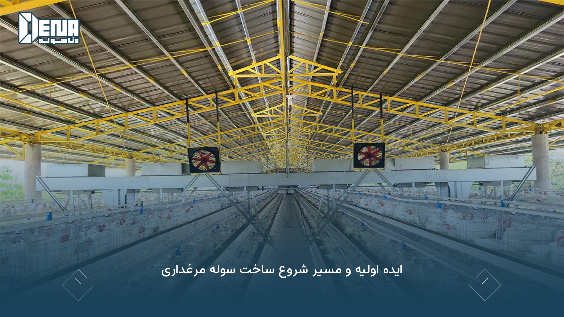 ایده اولیه و مسیر شروع ساخت سوله مرغداری