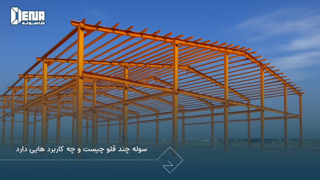 سوله چند قلو چیست و چه کاربرد هایی دارد