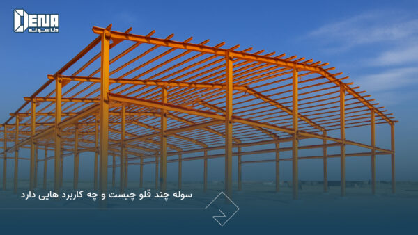 سوله چند قلو چیست و چه کاربرد هایی دارد